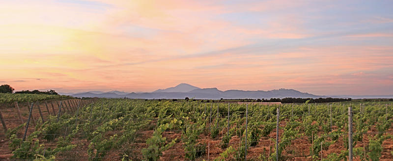 Languedoc